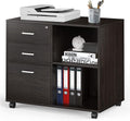 Black Walnut 3 Drawer Wood File Cabinet with Lock I5848