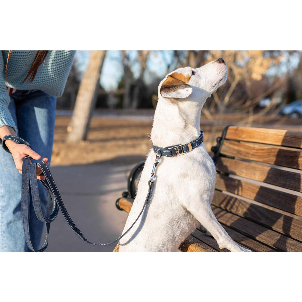 Soft Leather Collar X54142