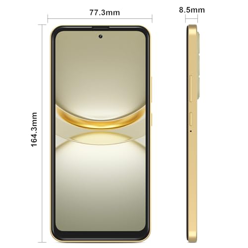 Gold 6.6 Inch 32GB Android Phone V6846