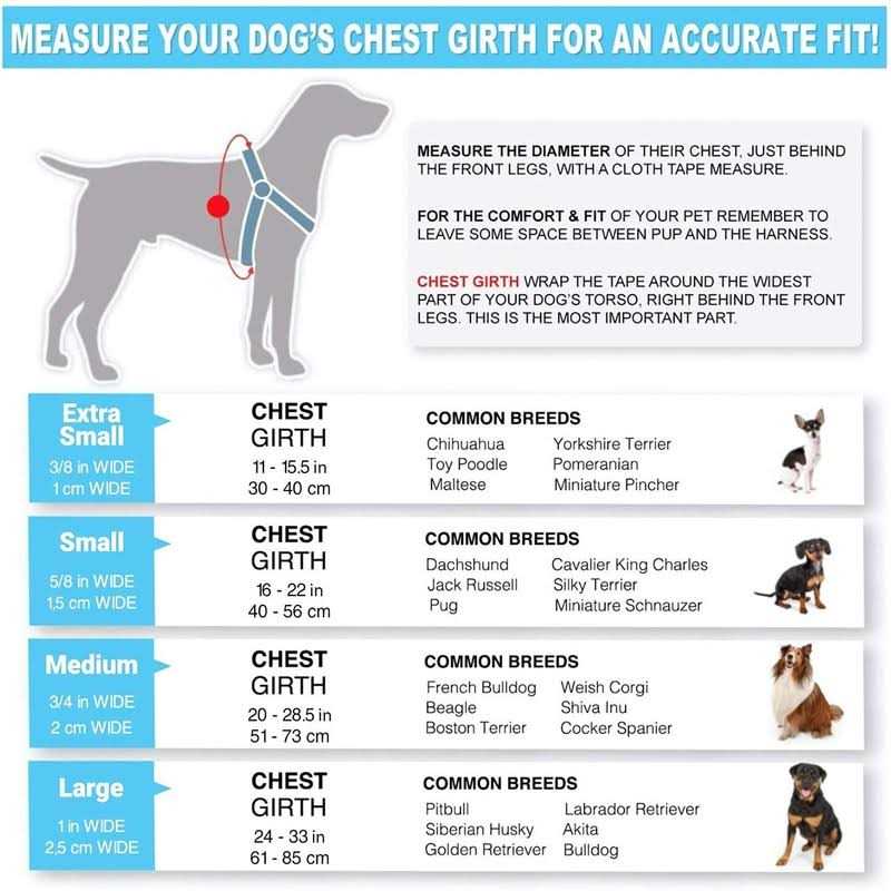 Reflective Step-in Dog Harness I543