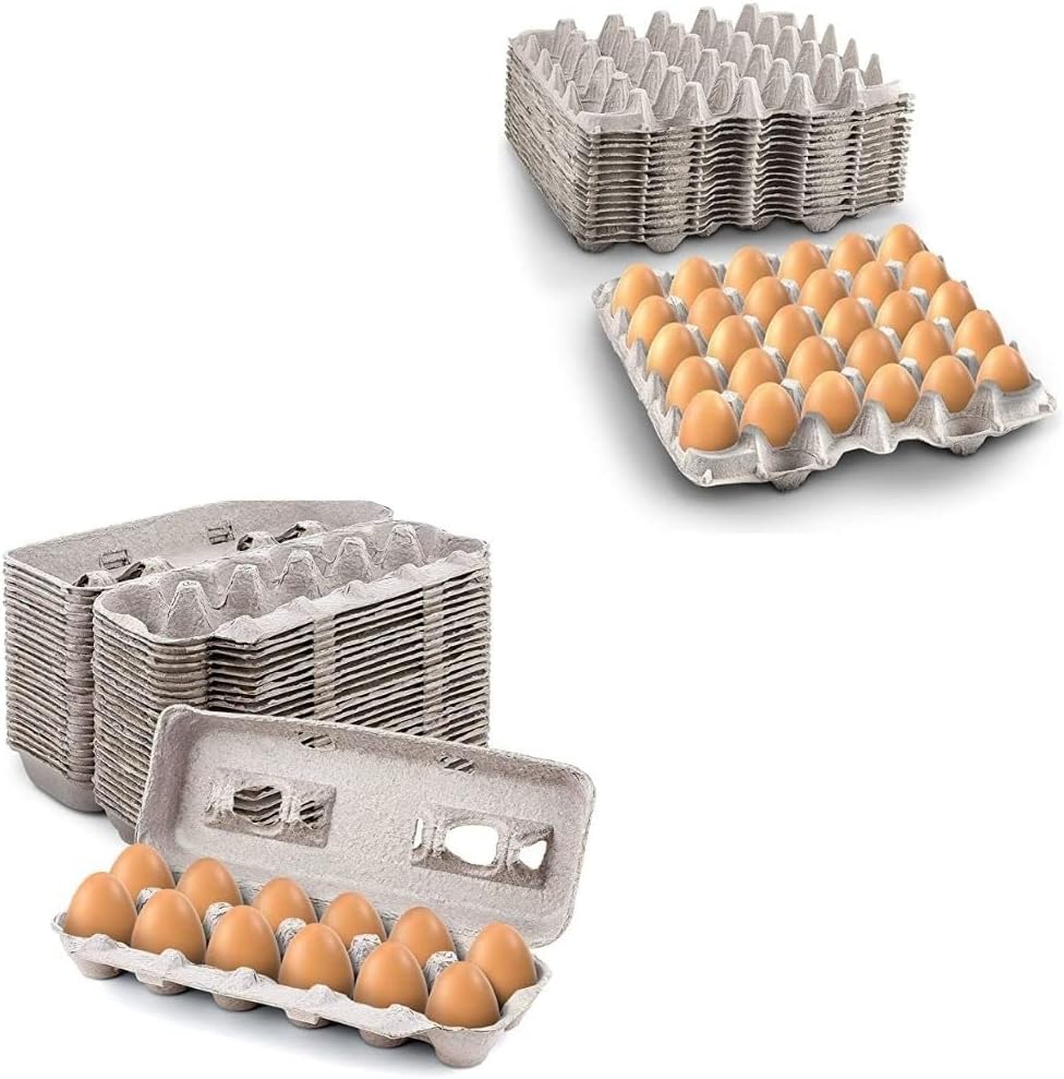 15 Pc Biodegradable Pulp Fiber Egg Cartons I103558
