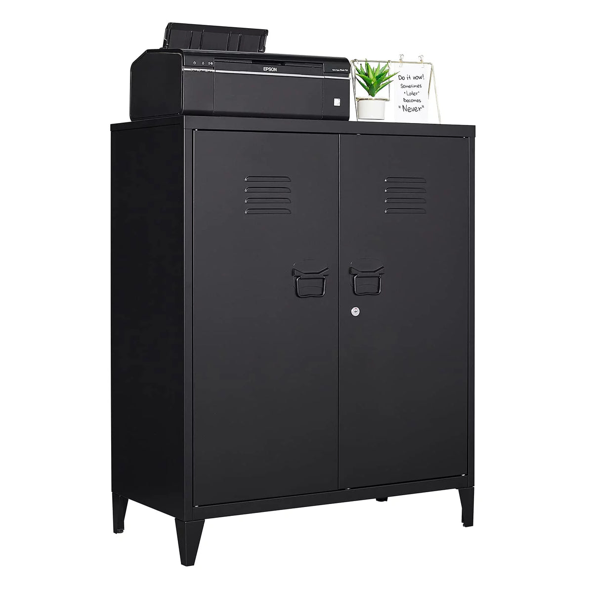 2 Door Metal Accent Cabinet with 2 Shelves, Black N95361