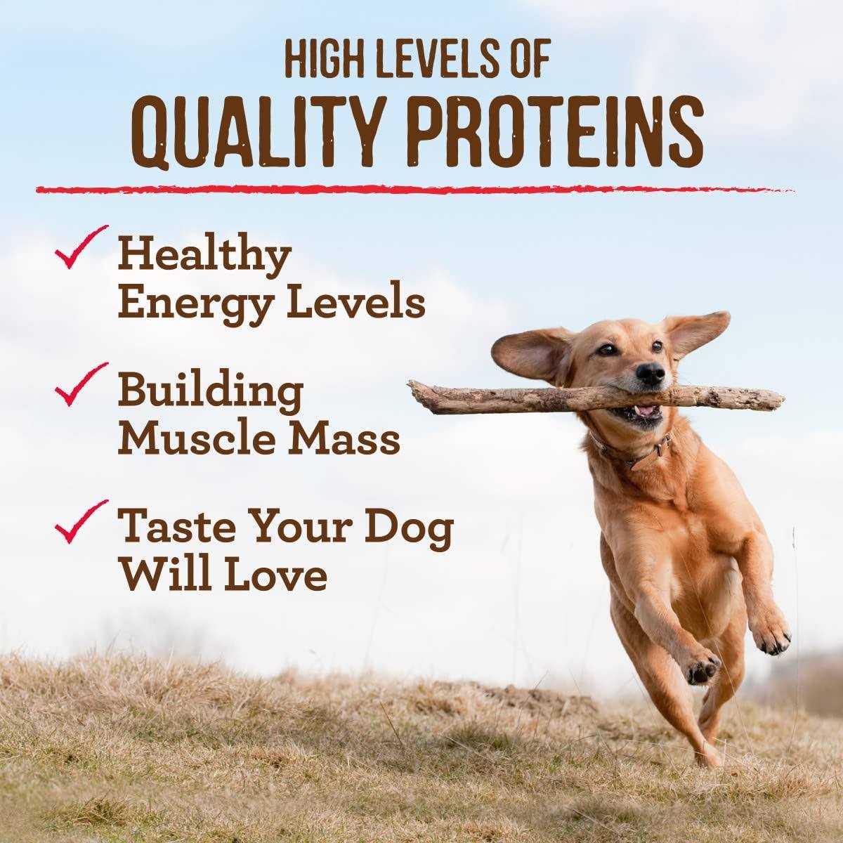 Grain-Free Real Beef Sweet Potato Dry Dog Food Z640877