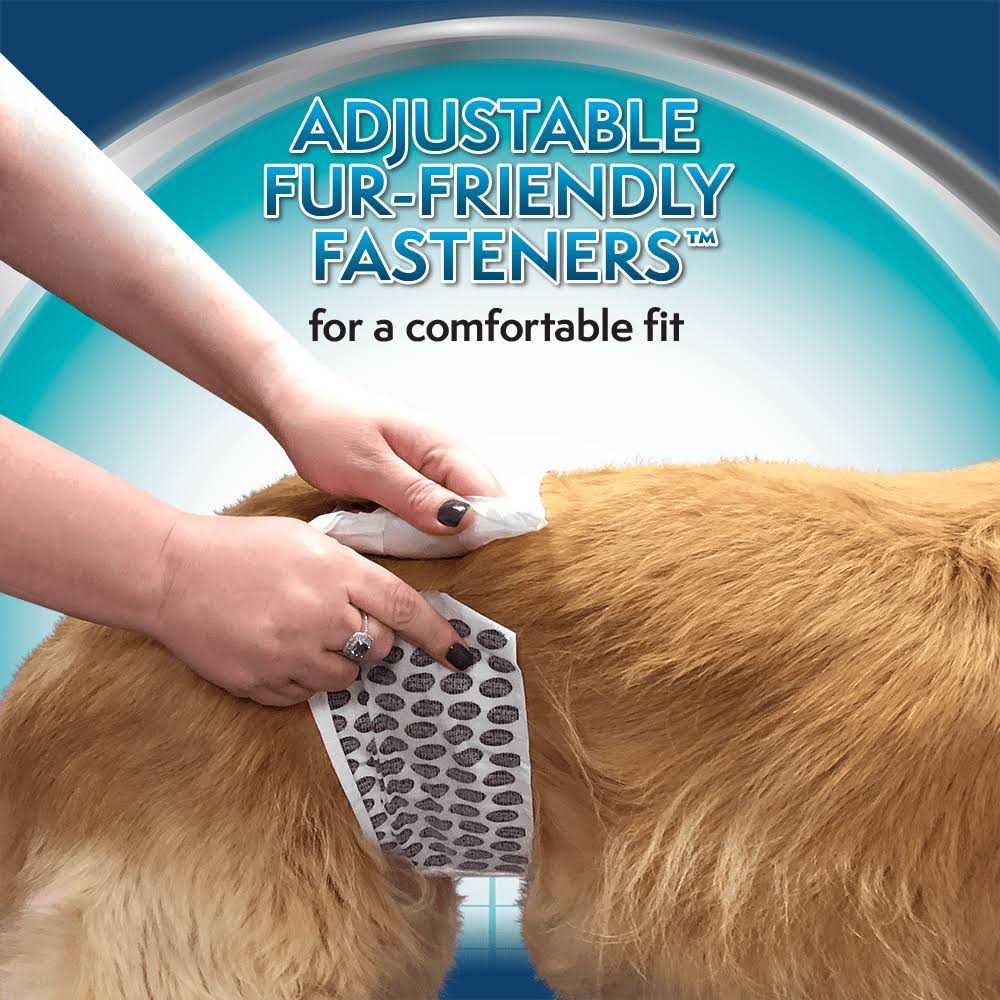 Disposable Male Wraps J24115