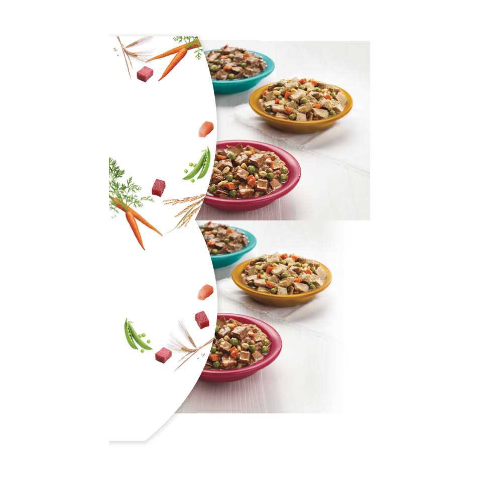 Wet Dog Food Variety Pack E7313