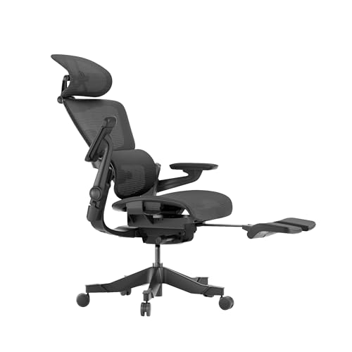 Ergonomic Office Chair with Footrest, Mesh Office Chair with Headrest (Gray, Medium) G18753