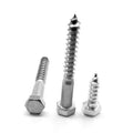 1/4 inch-10 x 2 inch Hex Lag Screw Low Carbon Steel Zinc Plated Pk 712 W9658