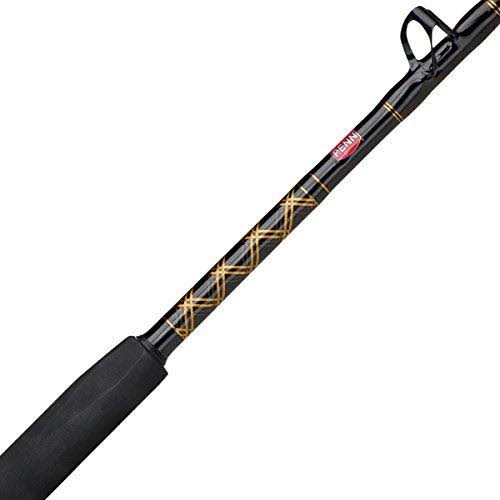 Penn Squall Lever Drag Combo T486