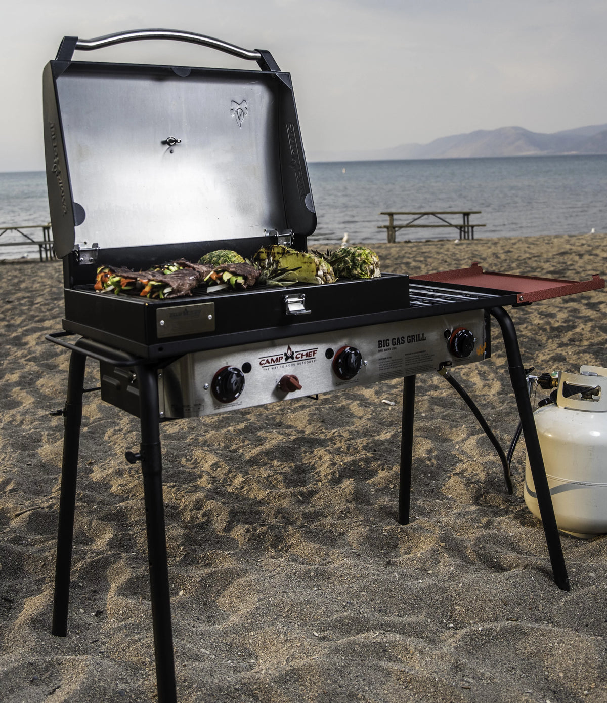 Big Gas Grill 16 Outdoor Stove with BBQ Box Accessory M5593