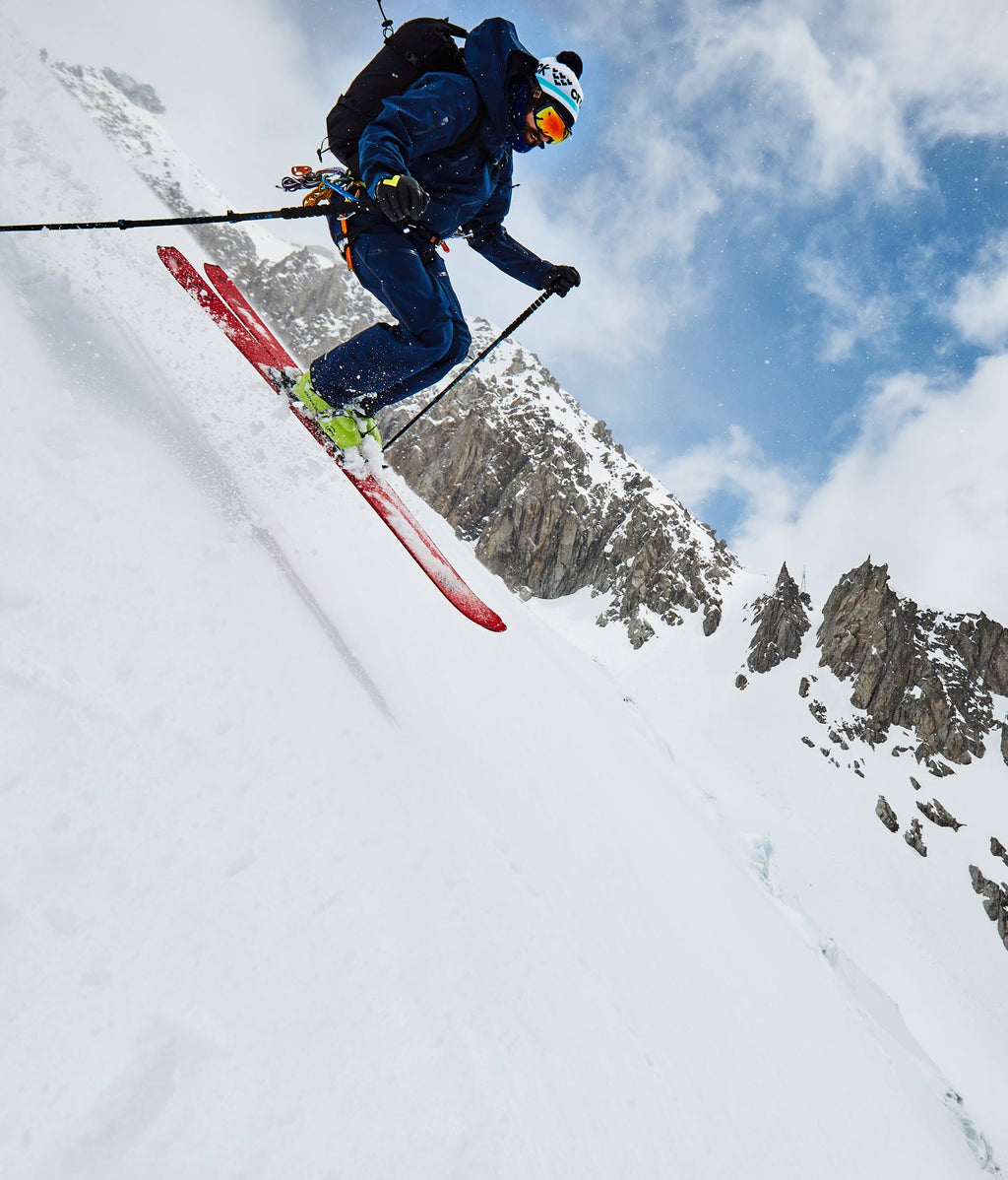 Black Crows Camox Freebird Skis, 166 R440