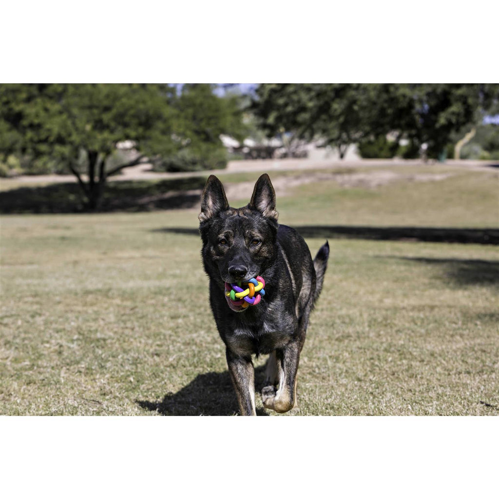 Dog Toy G94500