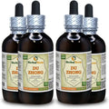 Eucommia Ulmoides Dried Bark Liquid Extract 4x120 ml E810