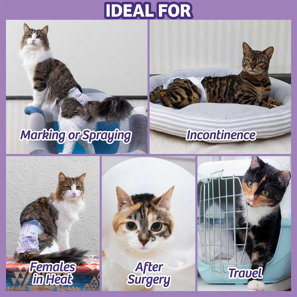 Disposable Cat Diapers N1230