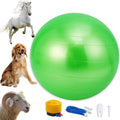 30 Inch Anti-Burst Mega Herding Ball with Pump C34809