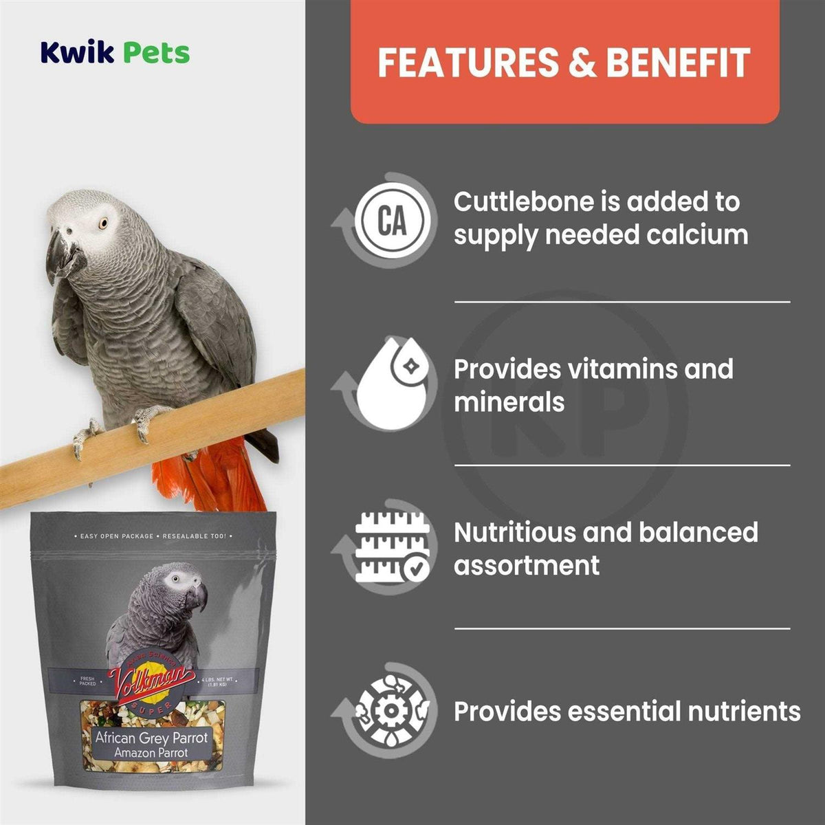 African Grey Pet Supplies H796401