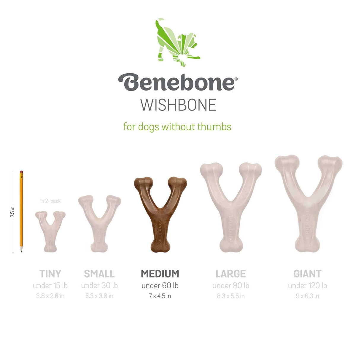 Wishbone Dog Chew O81876
