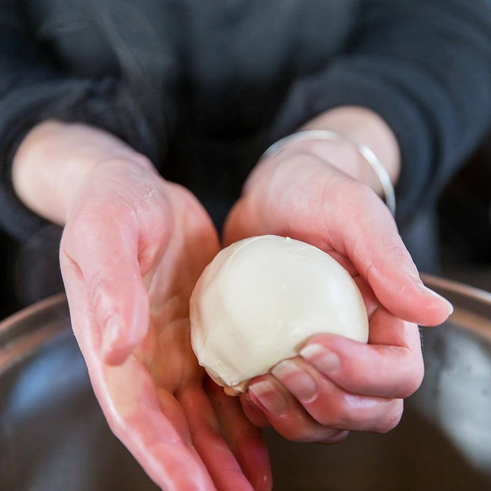 Artisan Cheese Kit P358617