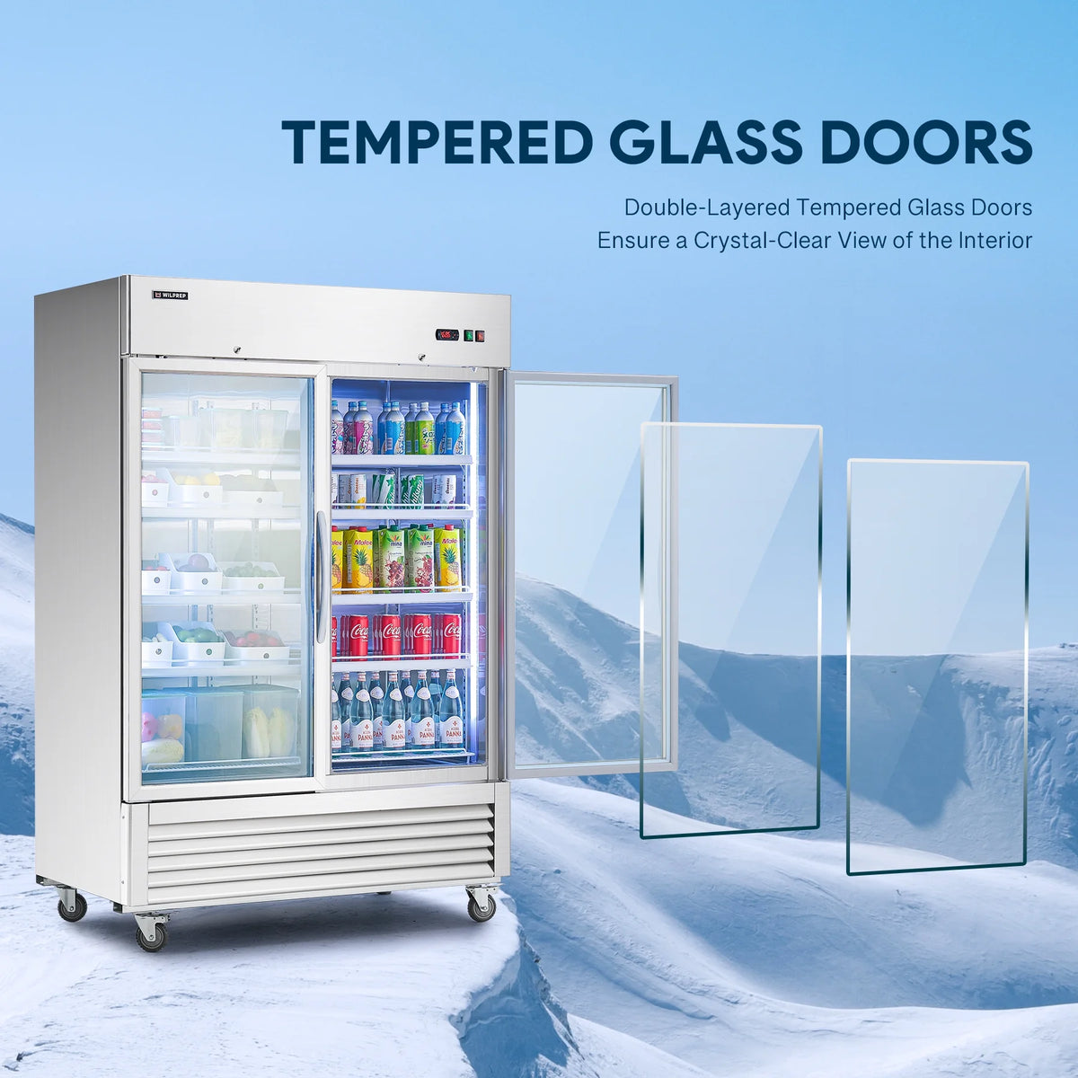 54" 2 Glass Door Display Refrigerator with 42.2 cu. ft. Capacity A510