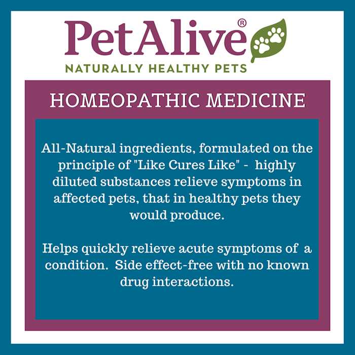 Pet Supplies T10749