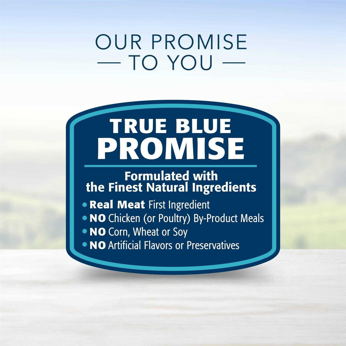 Blue Buffalo Homestyle Recipe Variety Pack Wet Dog Food A5705