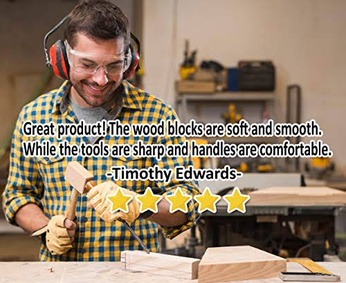 Wood Carving Kit with 10 Basswood Blocks and 8 Piece Set N617