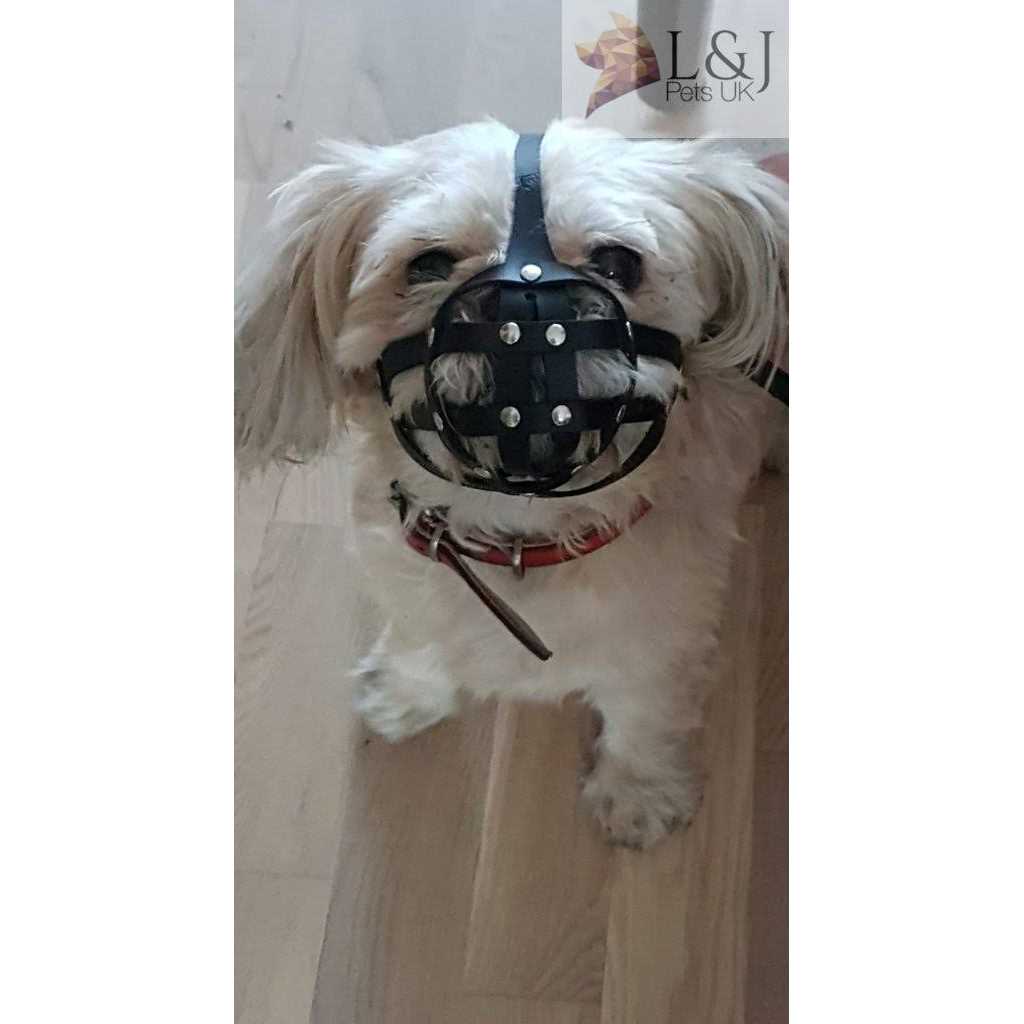 Leather Dog Muzzle X835