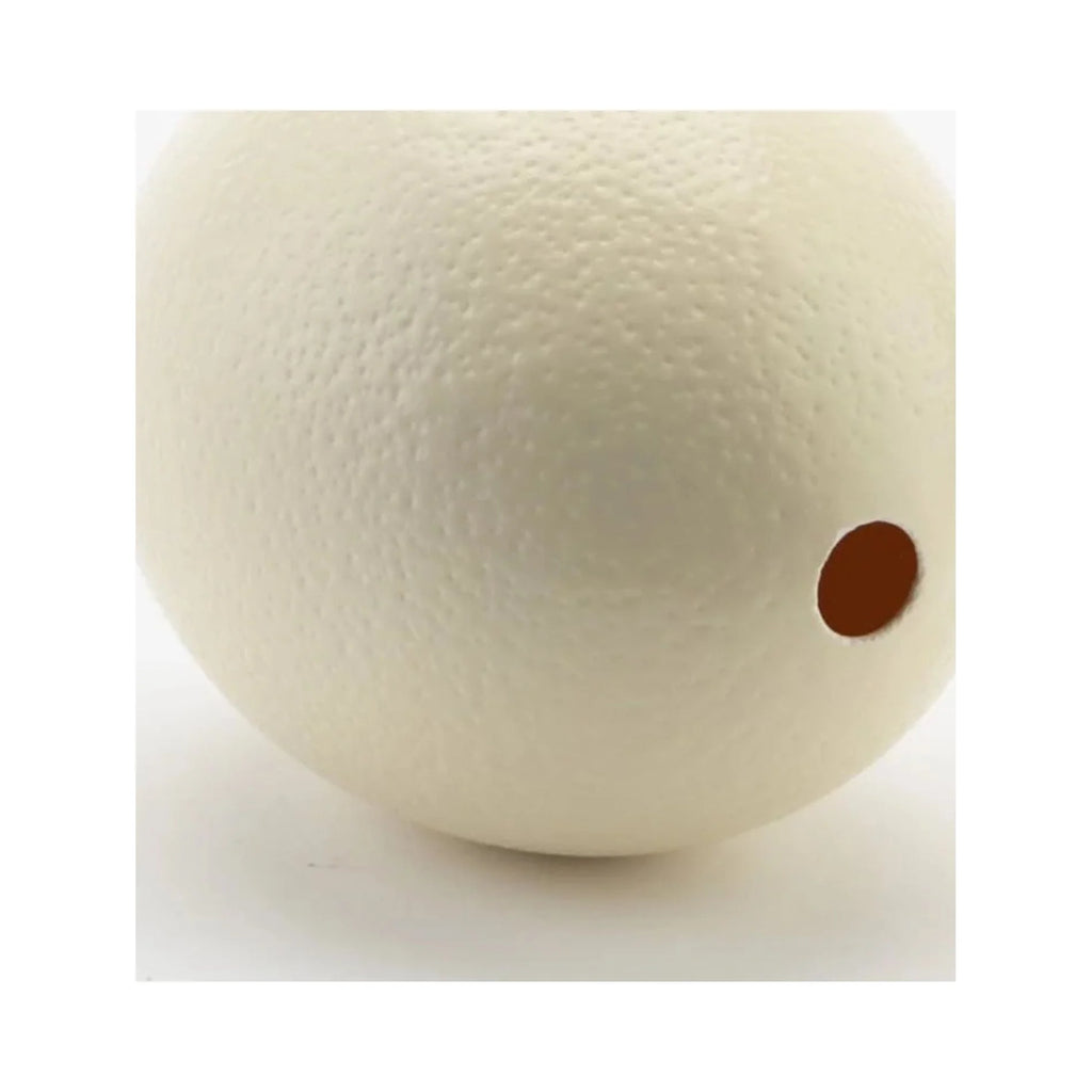 Ostrich Eggshells Q3160