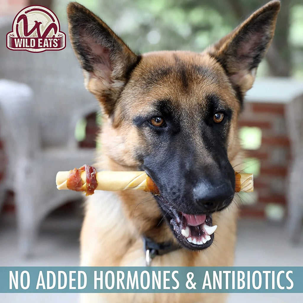 Water Buffalo Jerky Dog Chews 10 Pack Y216