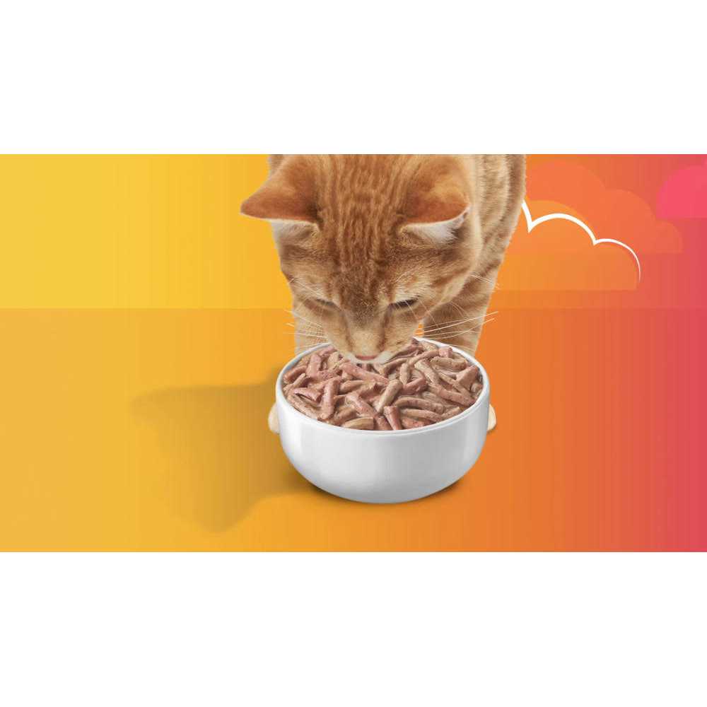 Wet Cat Food H559562