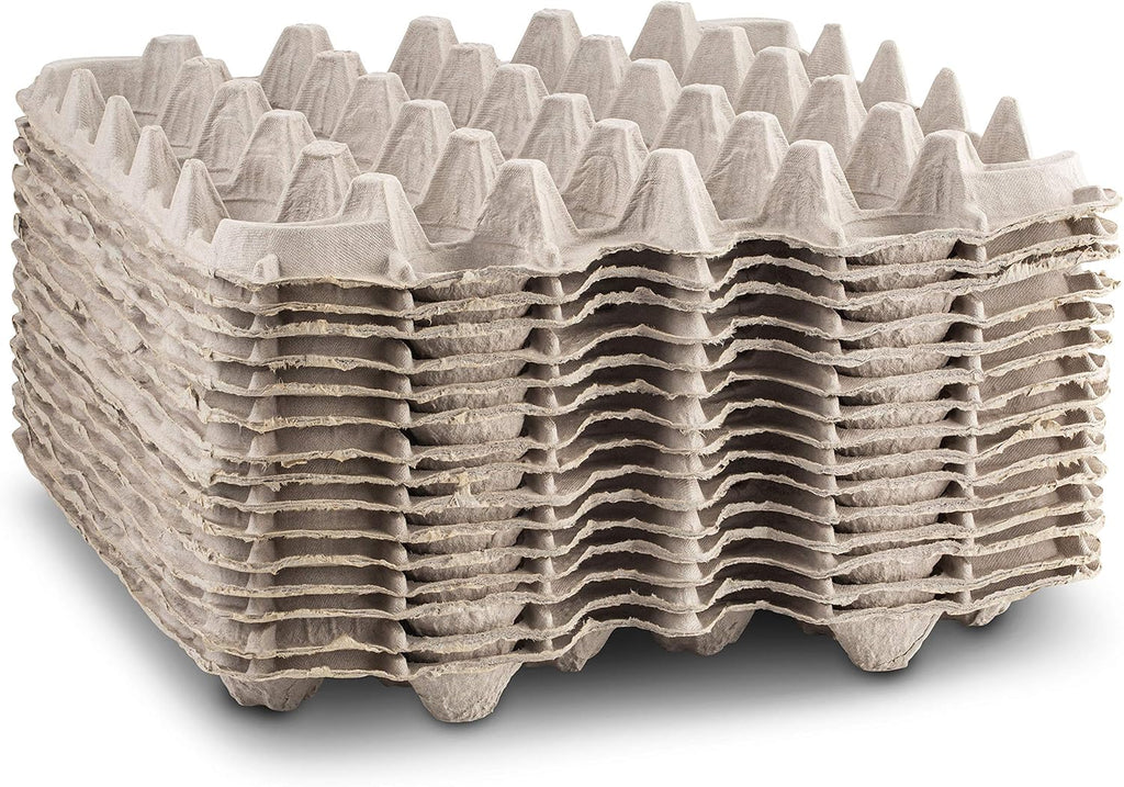 15 Pc Biodegradable Pulp Fiber Egg Cartons I103558