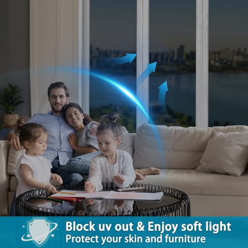 Diamond Black Silver One Way Window Film, 29.5 inch x 6.5 feet G8643