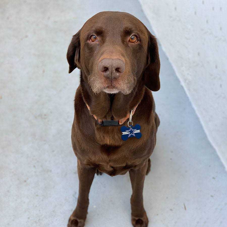 Dog ID Tag Z3393