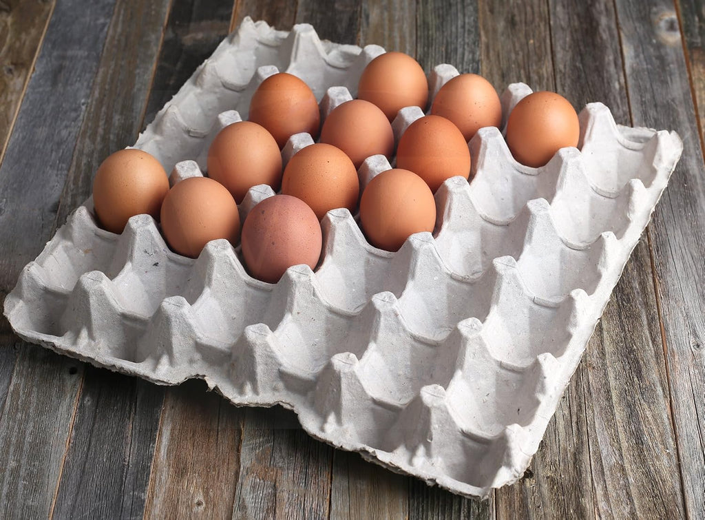 15 Pc Biodegradable Pulp Fiber Egg Cartons I103558