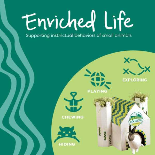 Enriched Life Wobble Teaser W608354