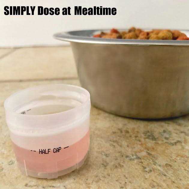 Feline Kidney & Bladder Support X56893