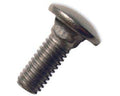 1/2-13 x 6x22 Stainless Steel Carriage Bolt P75028