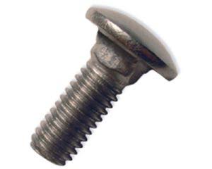 1/2-13 x 6x22 Stainless Steel Carriage Bolt P75028