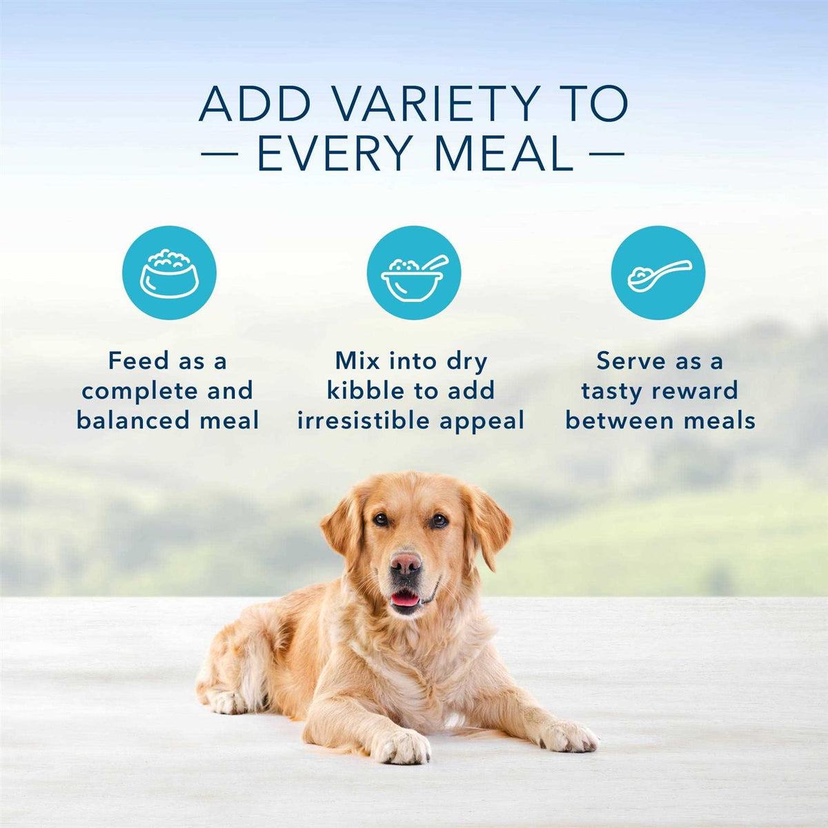 Blue Buffalo Homestyle Recipe Variety Pack Wet Dog Food A5705