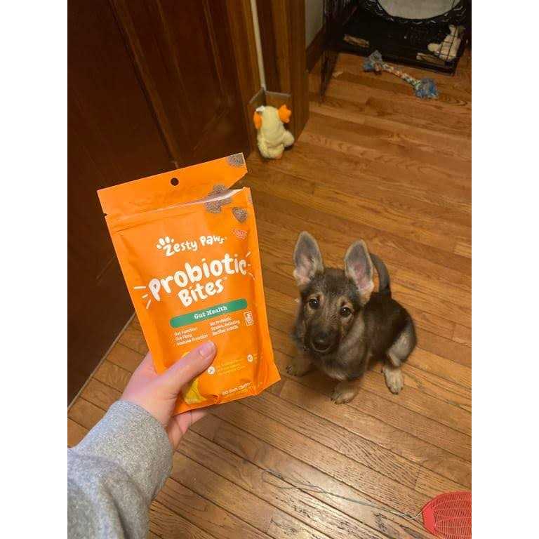 Probiotic Bites U502463