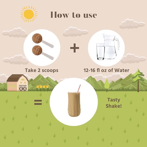 Chocolate Growth Protein Shake Powder U6064