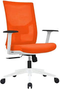 Ergonomic Mesh Office Chair with Lumbar Support G1089