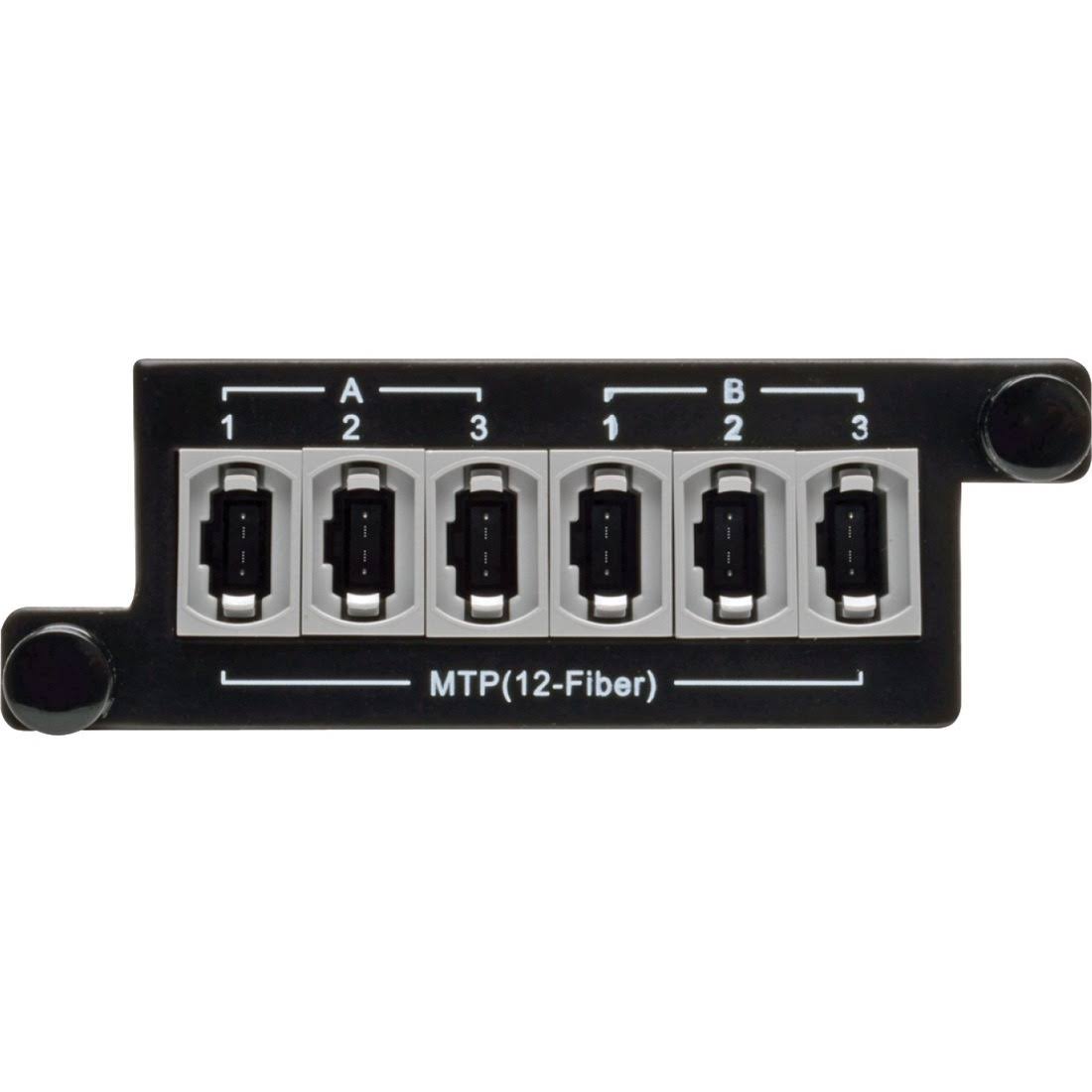 2 x 24 Fiber MTP-MPO to 6 x 12 Fiber MTP-MPO Breakout Cassette N412