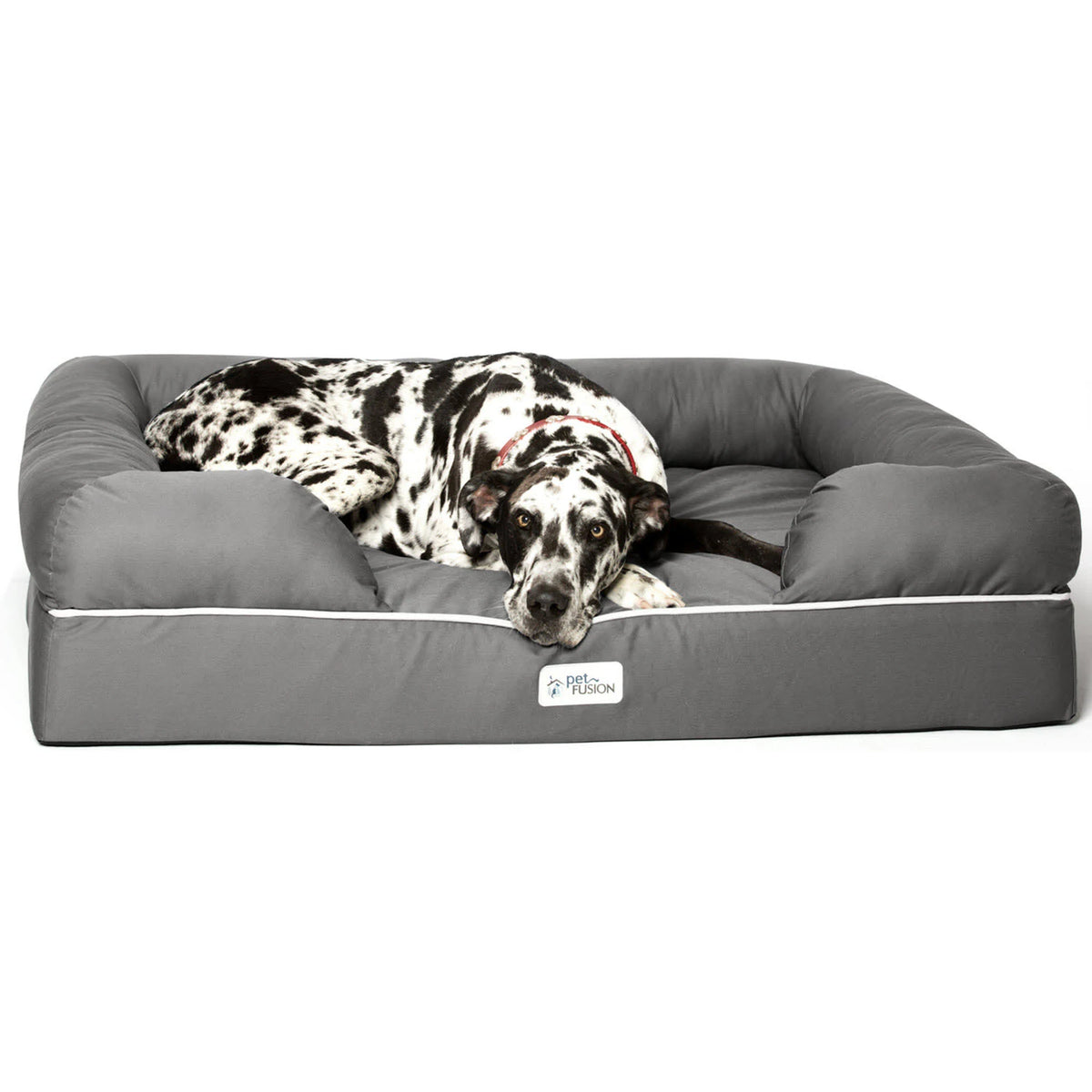 Jumbo Gray Solid Memory Foam Dog & Cat Bed Q956039