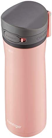 20oz Stainless Steel Water Bottle F59427