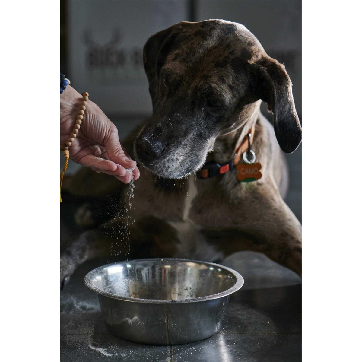 Ground Wild Elk and Deer Antler Powder for Dogs K5644