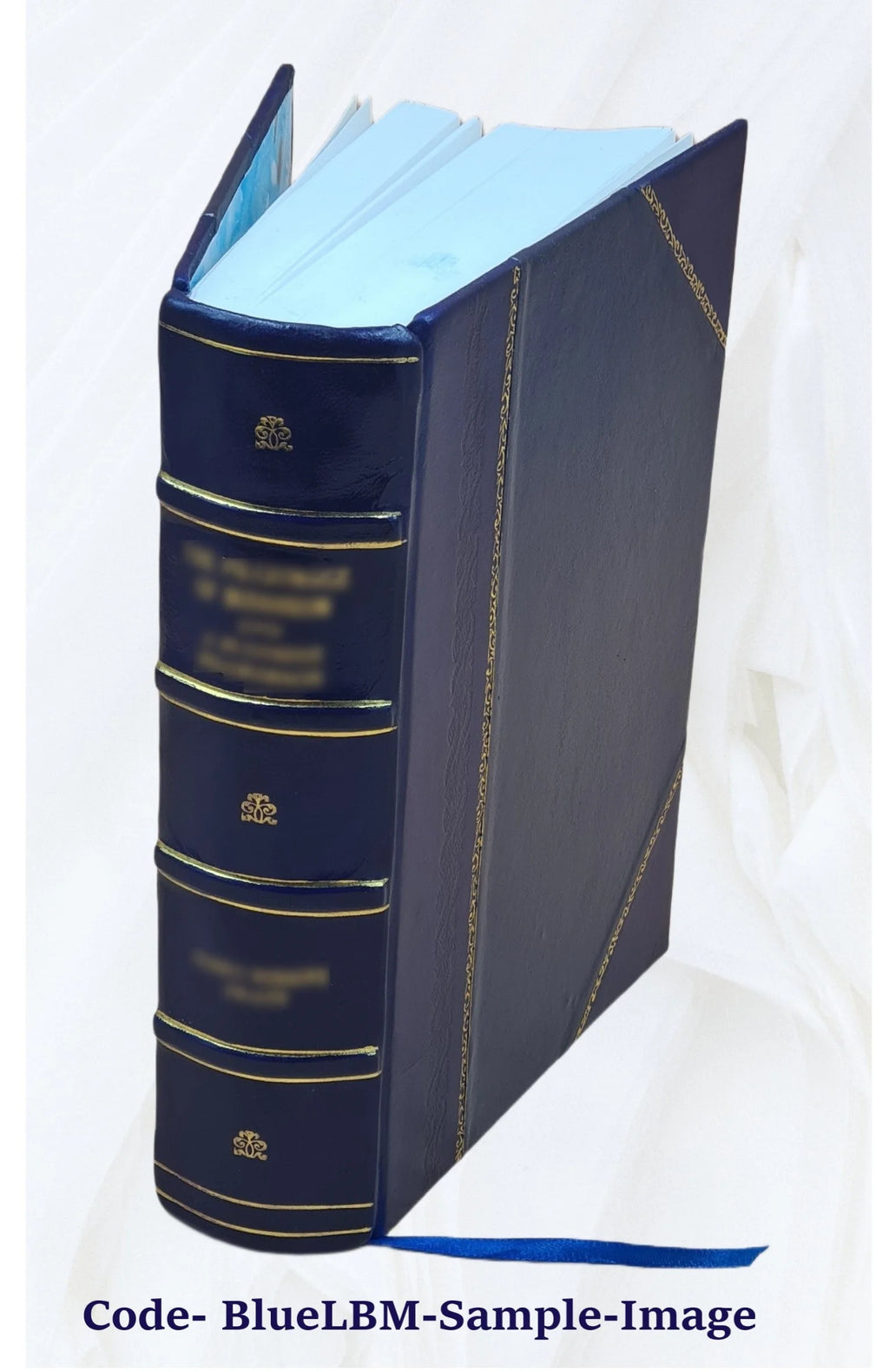Leather Bound Book Y491