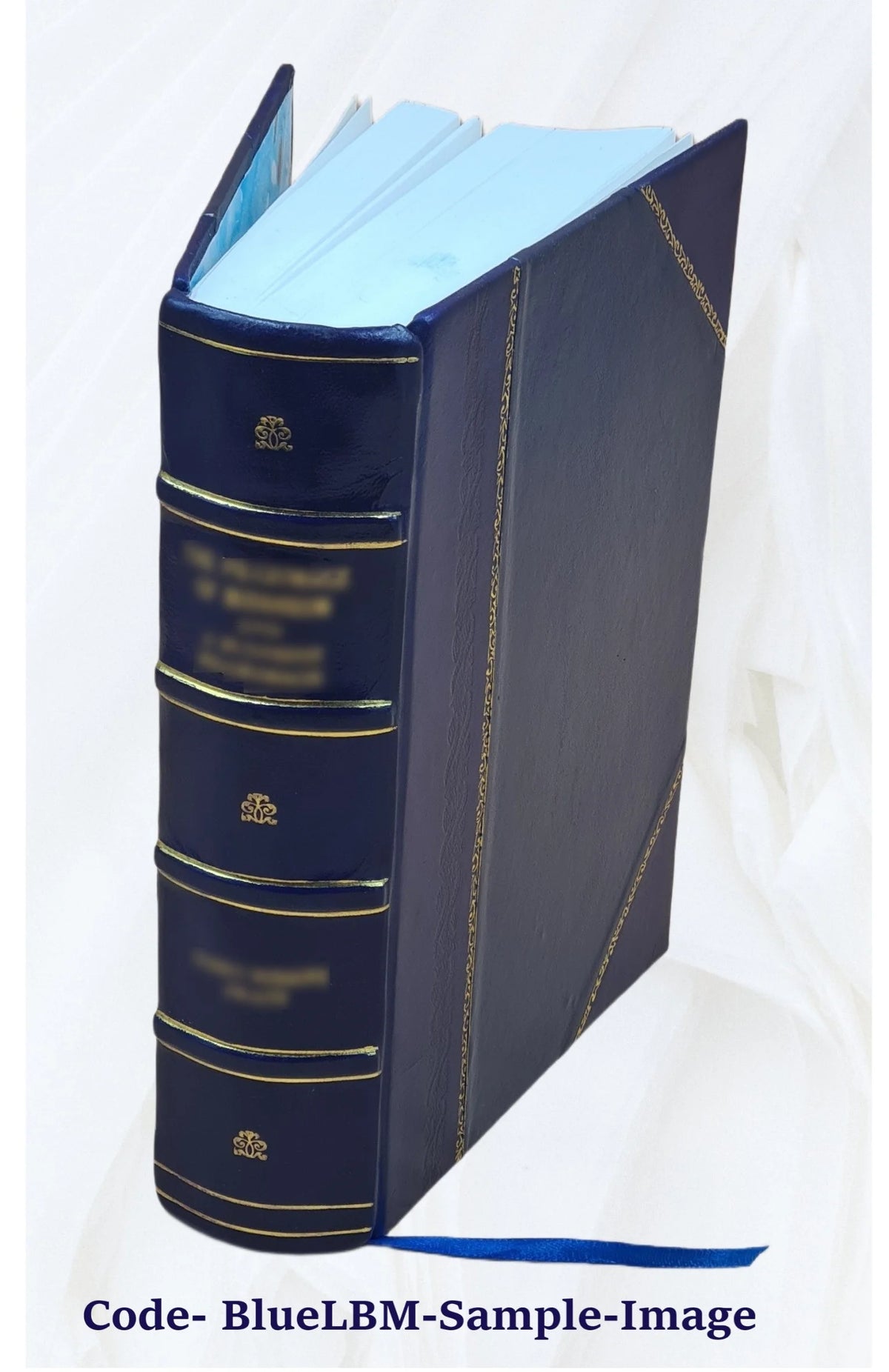 Leather Bound Book Y491