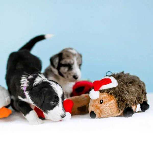 Hedgehog Dog Toy K9272