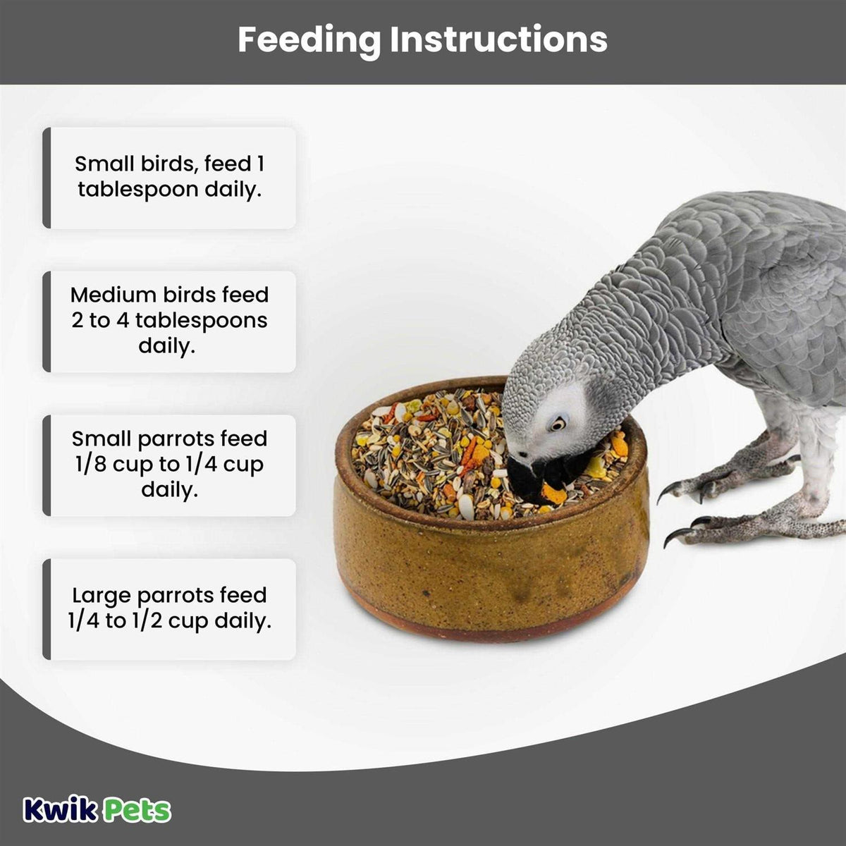 African Grey Pet Supplies H796401