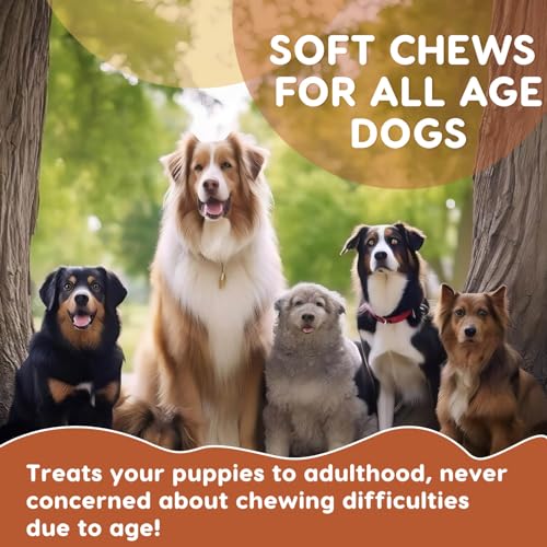 120 Soft Chews Probiotics for Dogs V2074
